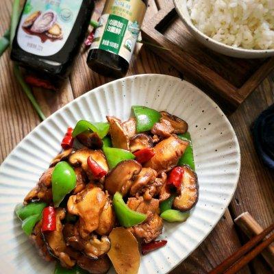 如何做鸡汤饭，鸡肉汤饭的做法窍门（黄焖鸡米饭#做饭吧）