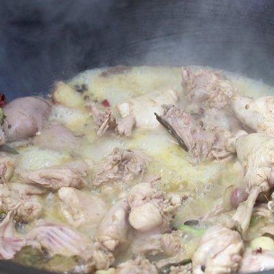 炖兔子肉怎么做好吃，兔子肉怎么炖好吃（不知道吃什么，炖兔子肉准没错）