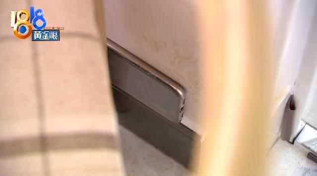 床上有很小很小的虫子是什么虫，床上有很小很小的虫子是什么虫白色的（租房第一天床上发现“小虫子”）