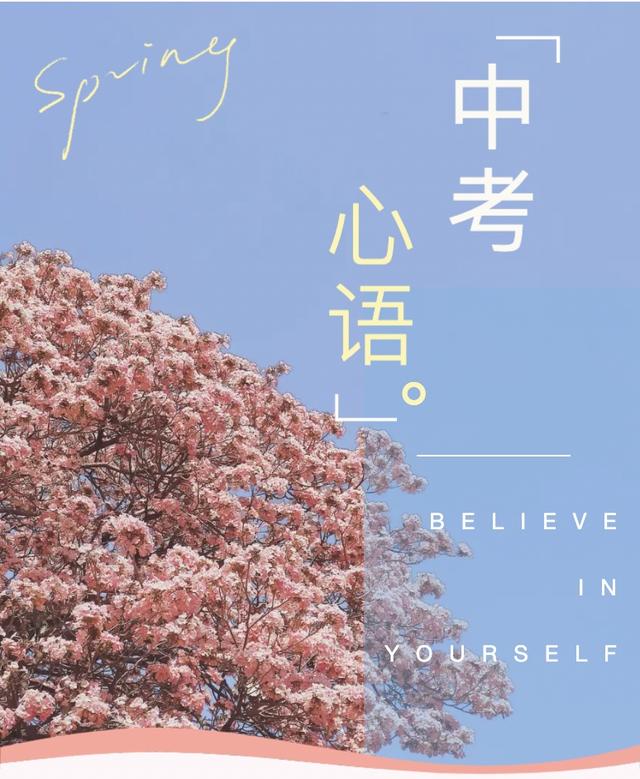 ac数是什么意思网络词，ac是什么意思（倒计时START）