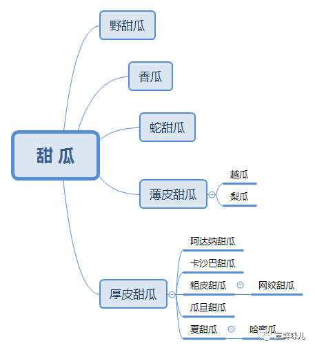 哈密瓜和甜瓜的区别，哈密瓜和甜瓜的区别是什么（70多年前的一个甜瓜）