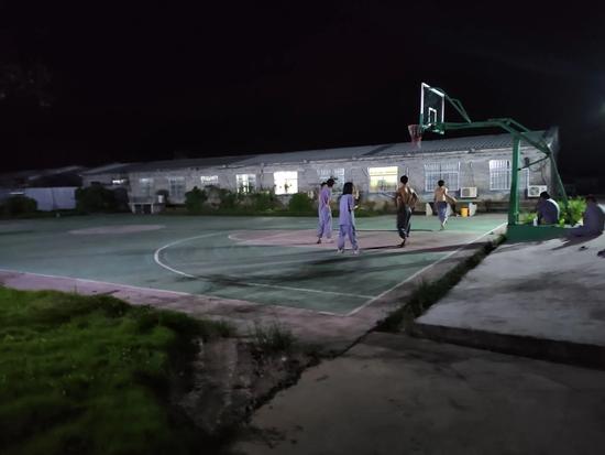 氢氧化钠和二氧化碳反应放热吗，氢氧化钠和二氧化碳反应（大学毕业后你会选择去养猪吗）