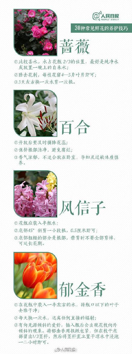 风铃草怎样延长花期，风铃草的花期（30种入门级鲜花养护技巧）