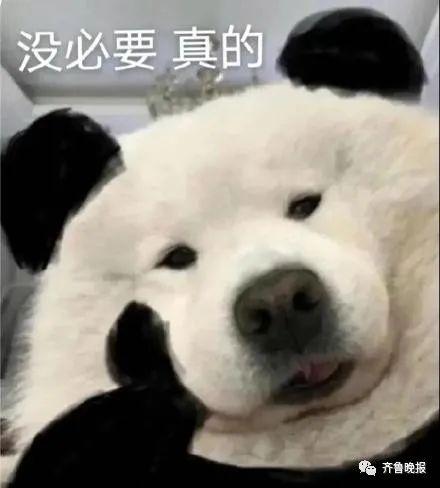 qq历史头像在哪里找，qq历史头像（微信又出新功能）