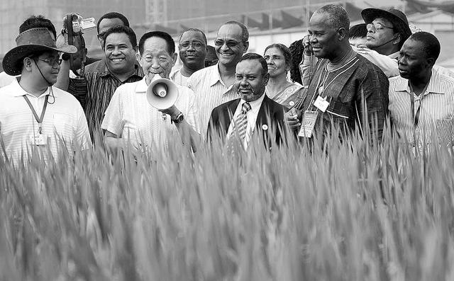 梦见开会是什么意思，袁隆平：我的两个梦