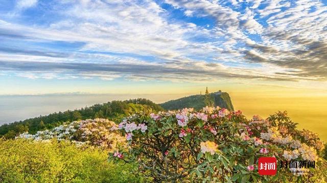 峨眉山金顶海拔多少米，峨眉山金顶能看到哪座山（四川峨眉山最高峰万佛顶5月27日起重新对外开放）