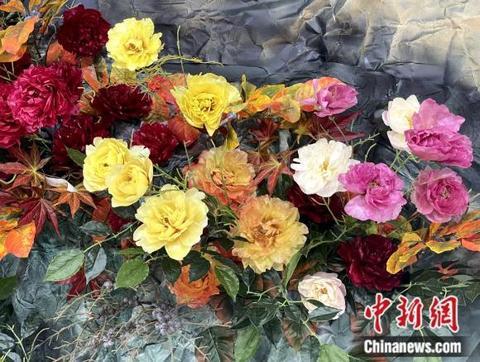 樱花是日本的国花吗，樱花是日本的国花吗图片（产自中国的樱花怎么就成了日本国花）