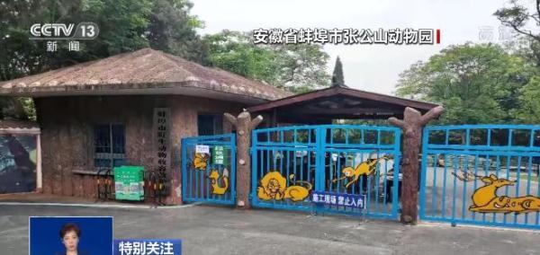 盘点老虎伤人事件，3天2起老虎咬死饲养员事件令人痛心