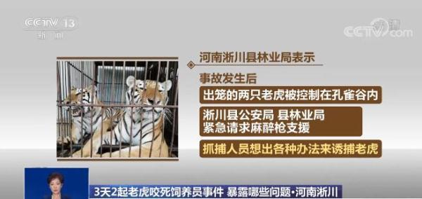 盘点老虎伤人事件，3天2起老虎咬死饲养员事件令人痛心