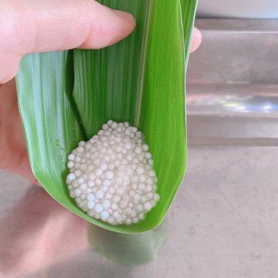 粽子的做法，油炸粽子的做法（赶紧试试这款简单又好吃的粽子吧）