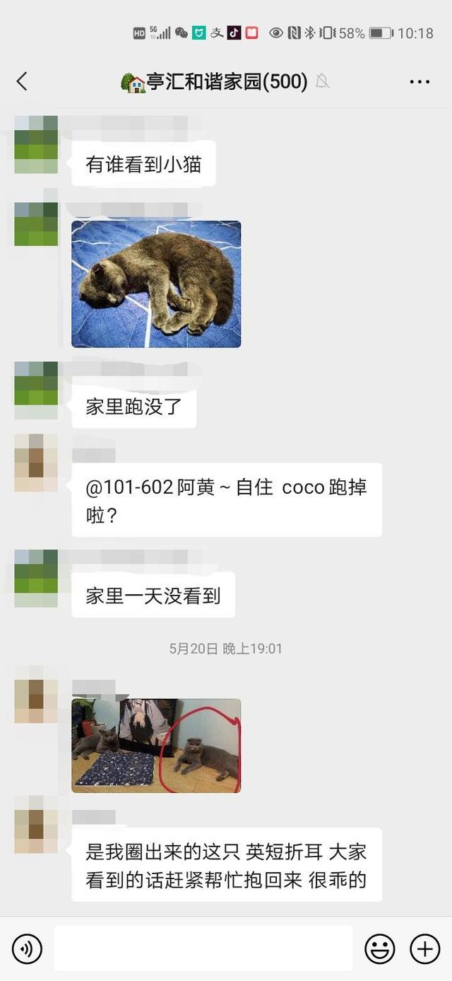 寻猫启事标准范文，寻猫启示（这则“寻猫主人启事”，暖）