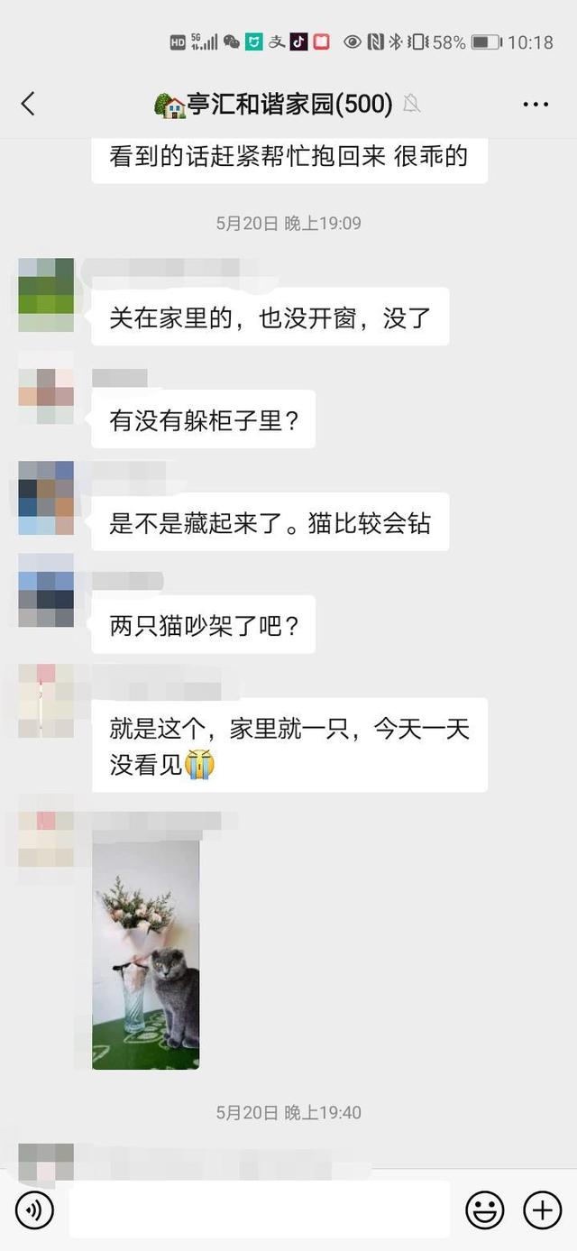 寻猫启事标准范文，寻猫启示（这则“寻猫主人启事”，暖）