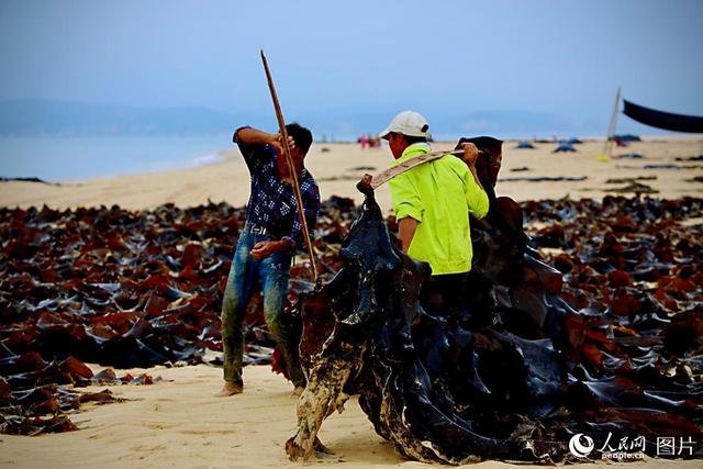 平潭岛在哪里，平潭哪里好玩（航拍福建省第一大岛平潭岛）