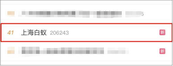 消灭白蚁的土办法，不少市民被吓坏了，这该怎么办