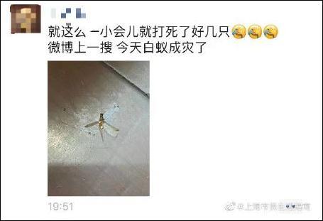 消灭白蚁的土办法，不少市民被吓坏了，这该怎么办