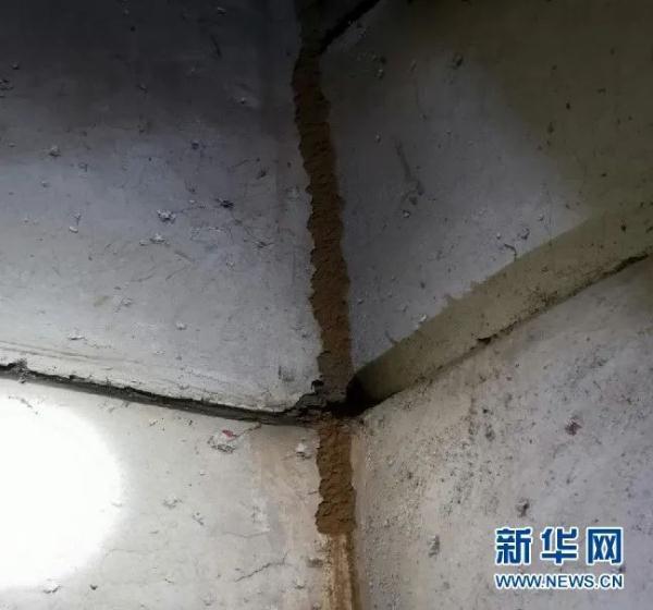 消灭白蚁的土办法，不少市民被吓坏了，这该怎么办