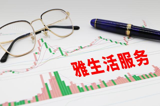 至雅集团融资合法吗，上海至雅集团融资（雅生活首次配股融资32亿）