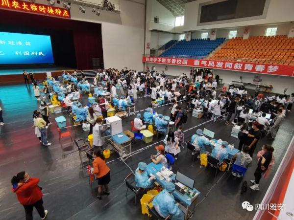 vero细胞是什么意思，vero细胞是什么意思打几针（1针、2针、3针新冠疫苗究竟有何不同）