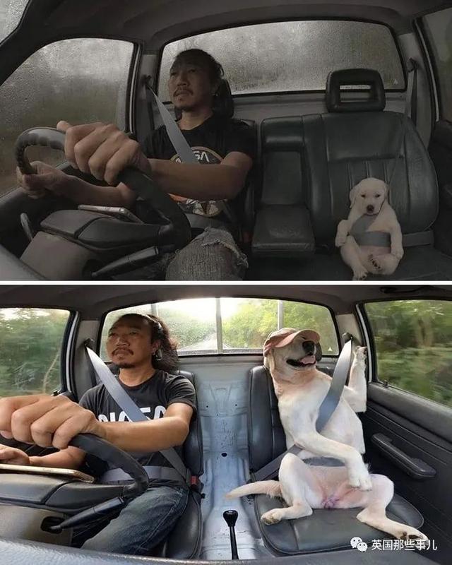 各种小动物图片，动物图画大全（国外网友的一波萌点各异的小动物照片）