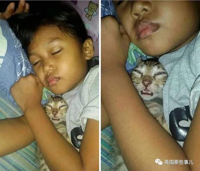 各种小动物图片，动物图画大全（国外网友的一波萌点各异的小动物照片）