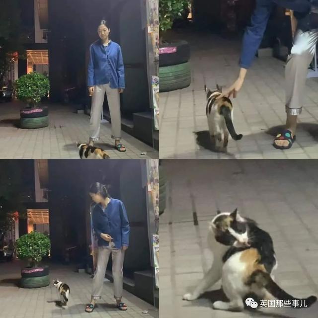 各种小动物图片，动物图画大全（国外网友的一波萌点各异的小动物照片）