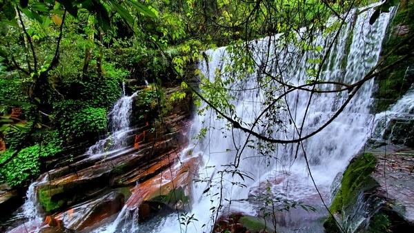贵州大学为什么设立阳明学院，贵州大学为什么设立阳明学院校区（贵州首家政企合作自然教育基地在佛顶山保护区揭牌）
