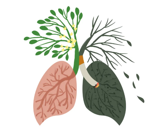 世界无烟日宣传知识，世界无烟日丨如何科学戒烟