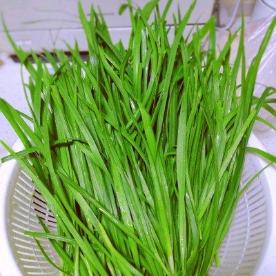 韭菜鸡蛋饺子馅怎么调好吃，猪肉韭菜鸡蛋饺子馅怎么调好吃（家常美味鸡蛋韭菜馅饺子）