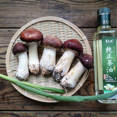 姬松茸有什么营养，姬松茸有什么营养价值（上桌被抢光#助力高考营养餐#）