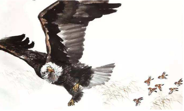 梁甫行原文及翻译，梁甫行原文及翻译简短（大鹏一日同风起）