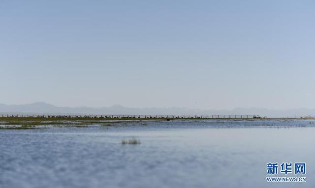 青海湖在哪里，青海湖在哪个城市 具体的位置（高原明珠——青海湖）