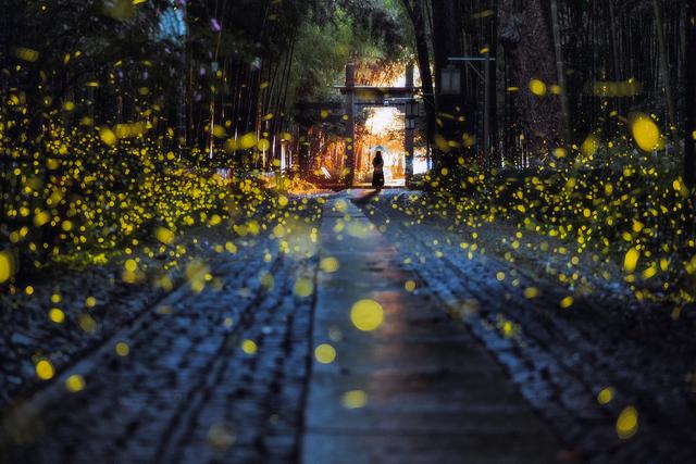 夏天的景物有哪些，夏天的景物有哪些10样（纵览全球夏日限定美景）