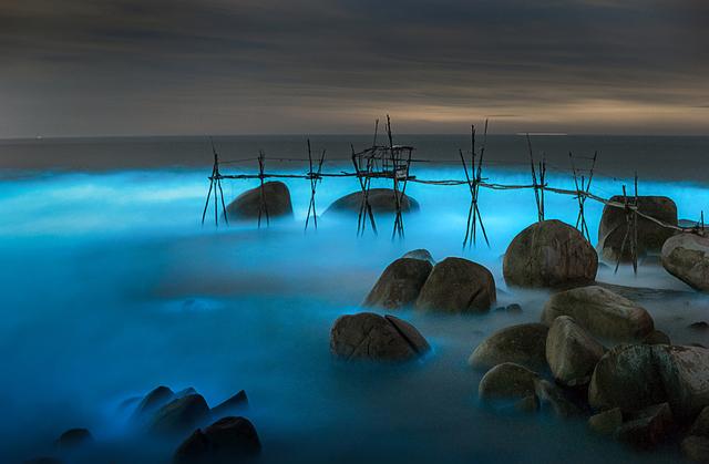 夏天的景物有哪些，夏天的景物有哪些10样（纵览全球夏日限定美景）