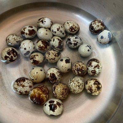 鹌鹑蛋煮多久能熟，鹌鹑蛋的营养价值及养生功效（#助力高考营养餐#五香鹌鹑蛋）