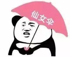 你不要淋雨啦，不然你会可爱到发芽的，你不要淋雨啦图片（明天暴雨）