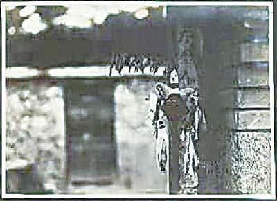 龙舟节是几月几日，端午赛龙舟是几月几日（由端午，步入中国古代时空）