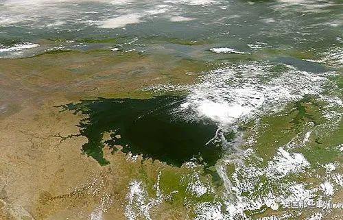 鳄鱼为什么会吃人，鳄鱼到底会不会吃人（残暴巨鳄吞噬83人后终于被抓）