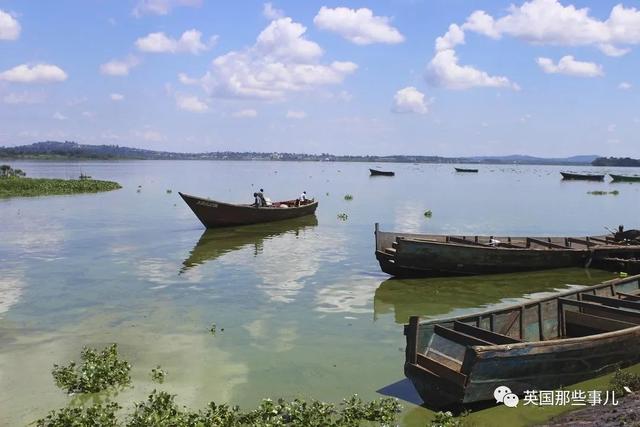 鳄鱼为什么会吃人，鳄鱼到底会不会吃人（残暴巨鳄吞噬83人后终于被抓）