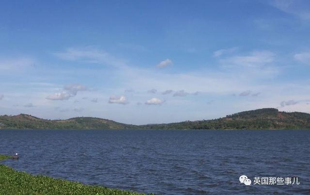 鳄鱼为什么会吃人，鳄鱼到底会不会吃人（残暴巨鳄吞噬83人后终于被抓）