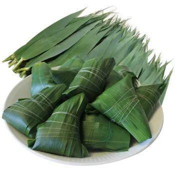 包粽子的叶子在哪里有，能包粽子的树叶，你认识几种