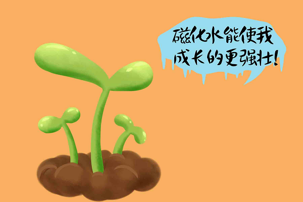 磁化水（磁化水器），磁化水还可以这样用（磁化水专用磁铁）