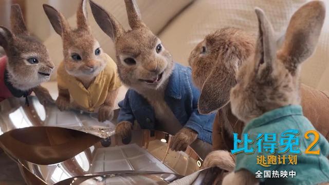 蓝色系列小兔子图片，蓝色的小兔子图片（这只小兔子是今年夏天的欢乐源泉）