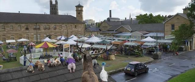 蓝色系列小兔子图片，蓝色的小兔子图片（这只小兔子是今年夏天的欢乐源泉）