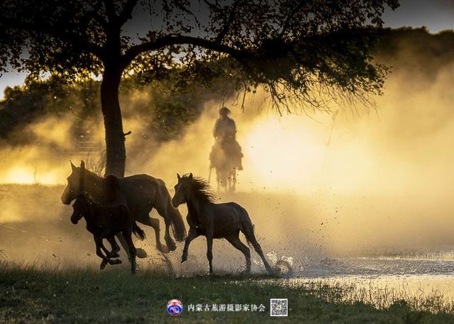 飞珠溅玉的意思，浑善达克飞珠溅玉