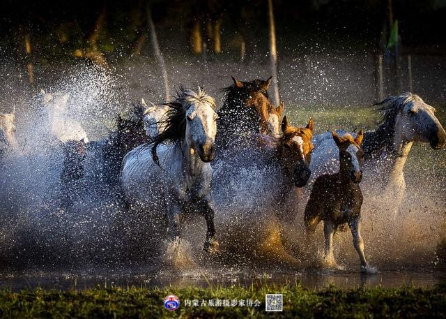 飞珠溅玉的意思，浑善达克飞珠溅玉