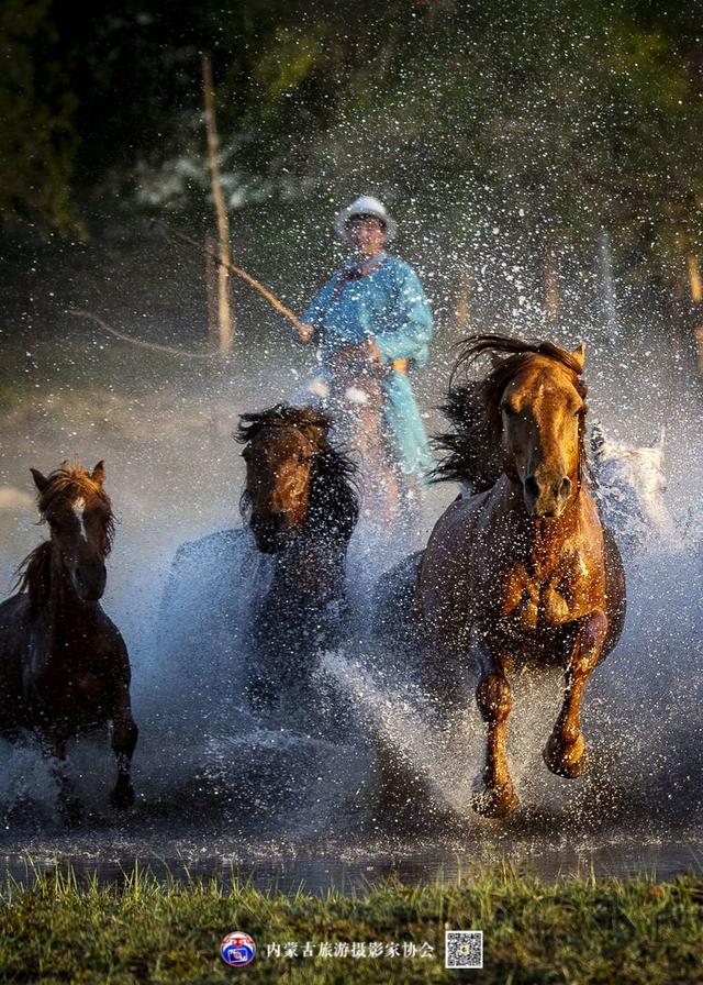 飞珠溅玉的意思，浑善达克飞珠溅玉