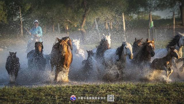 飞珠溅玉的意思，浑善达克飞珠溅玉