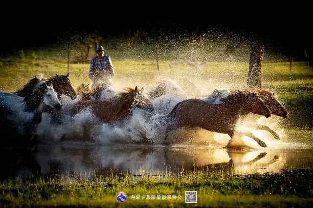 飞珠溅玉的意思，浑善达克飞珠溅玉