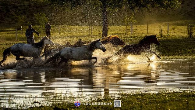 飞珠溅玉的意思，浑善达克飞珠溅玉