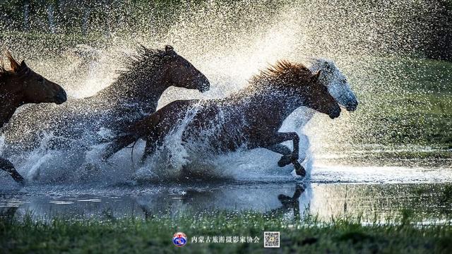 飞珠溅玉的意思，浑善达克飞珠溅玉